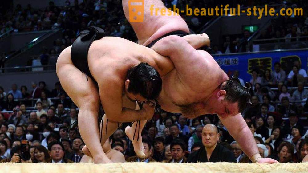 Sumo Wrestling: kasaysayan, mga patakaran, mga pamamaraan at mga tampok ang pinaka-kagiliw-giliw na mga katotohanan