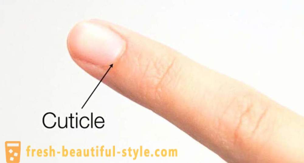 Remuver Cuticle: isang paraan ng paggamit, mga review
