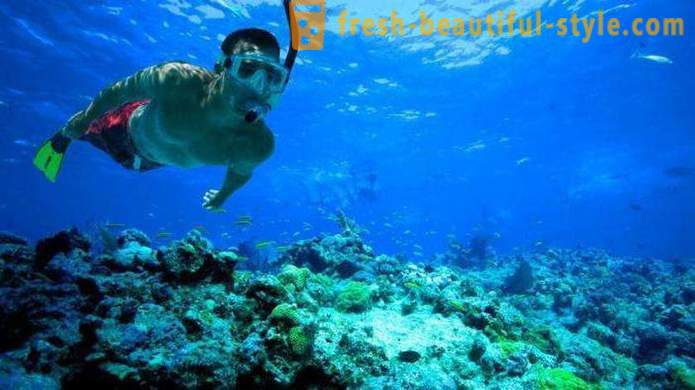 Ano ang snorkeling at kung saan maaari nilang gawin?