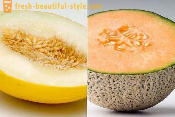 Melon pagkain para sa pagbaba ng timbang mga menu, mga review