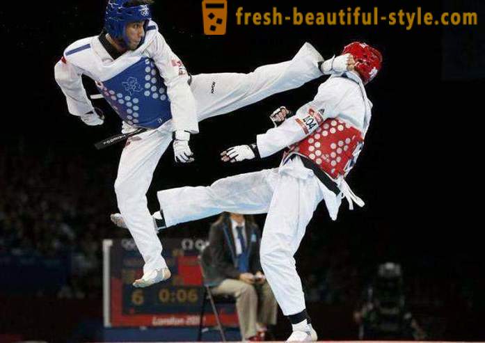 Anong Taekwondo? Paglalarawan at mga panuntunan ng martial art