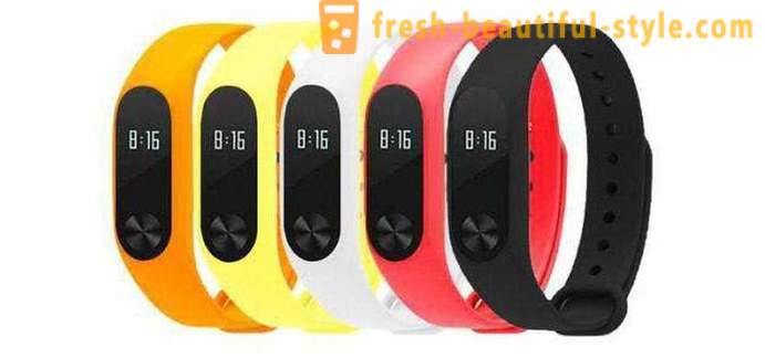 Fitness Bracelet Xiaomi Mi Band: paglalarawan, mga tagubilin, mga review