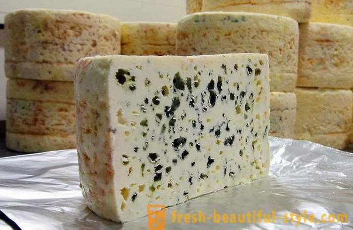 Ang pagmamanupaktura proseso ng kesong Pranses ng Roquefort cheese mula sa lumang mga recipe