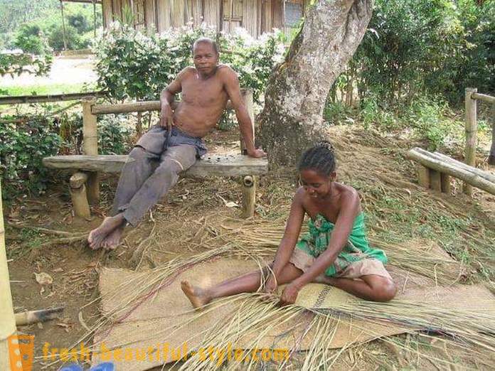 Kawili-wiling mga katotohanan tungkol sa incest