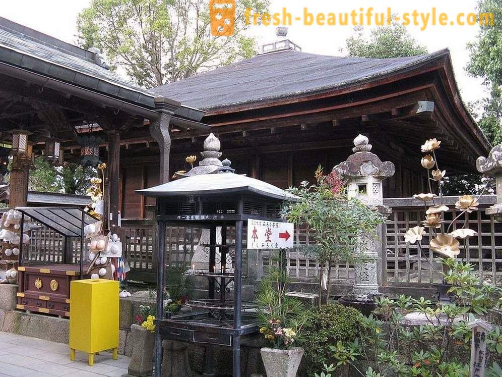 Sa Japan, mayroong isang templo na nakatuon sa babae dibdib, at iyon ang fine