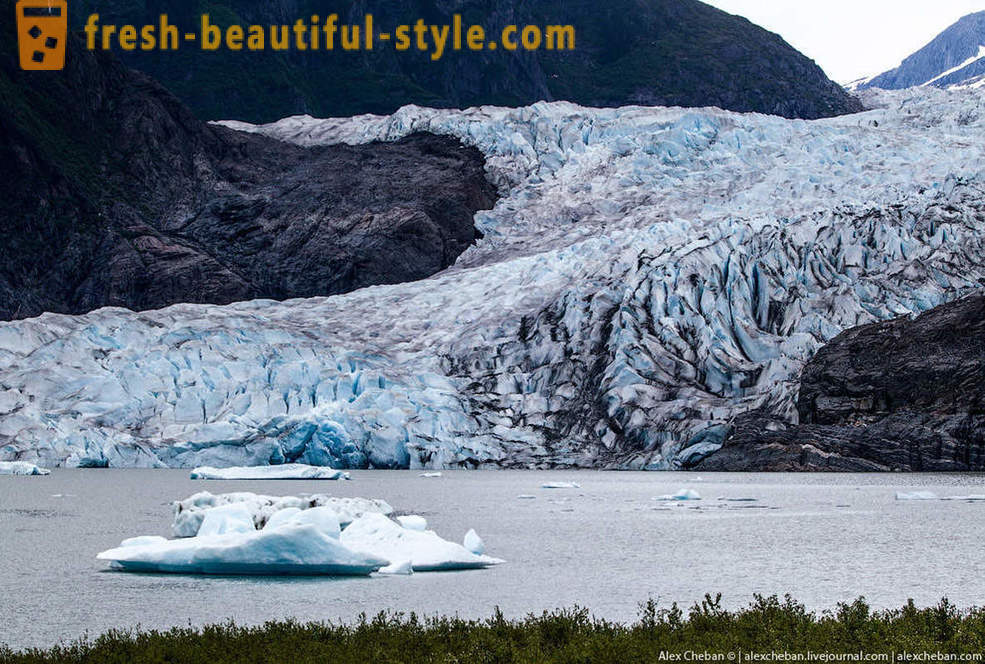 Mga glacier ng Alaska