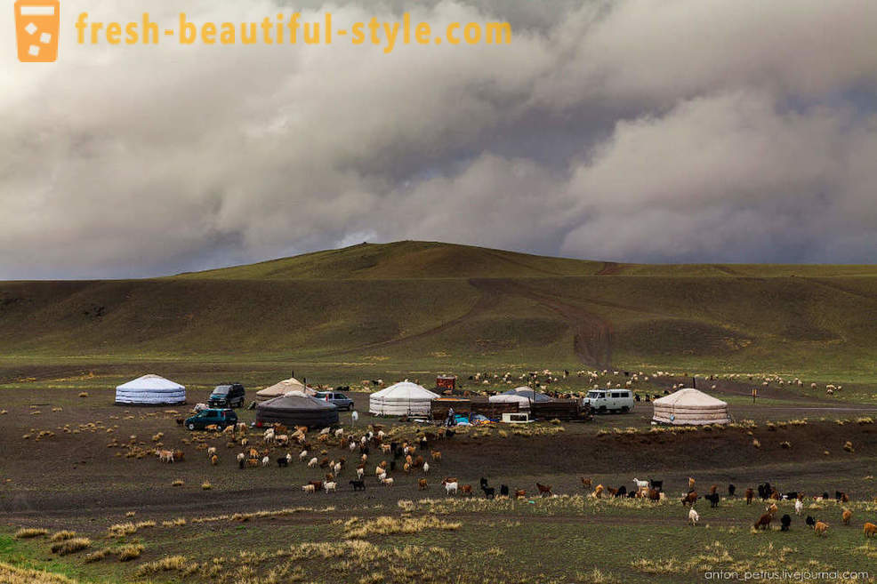 Malupit Mongolia