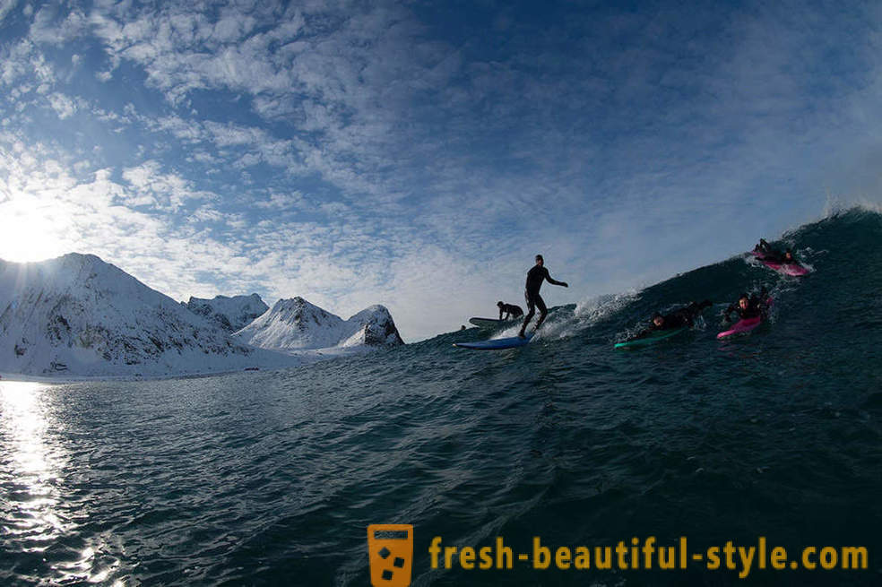 Surfer Extreme Arctic