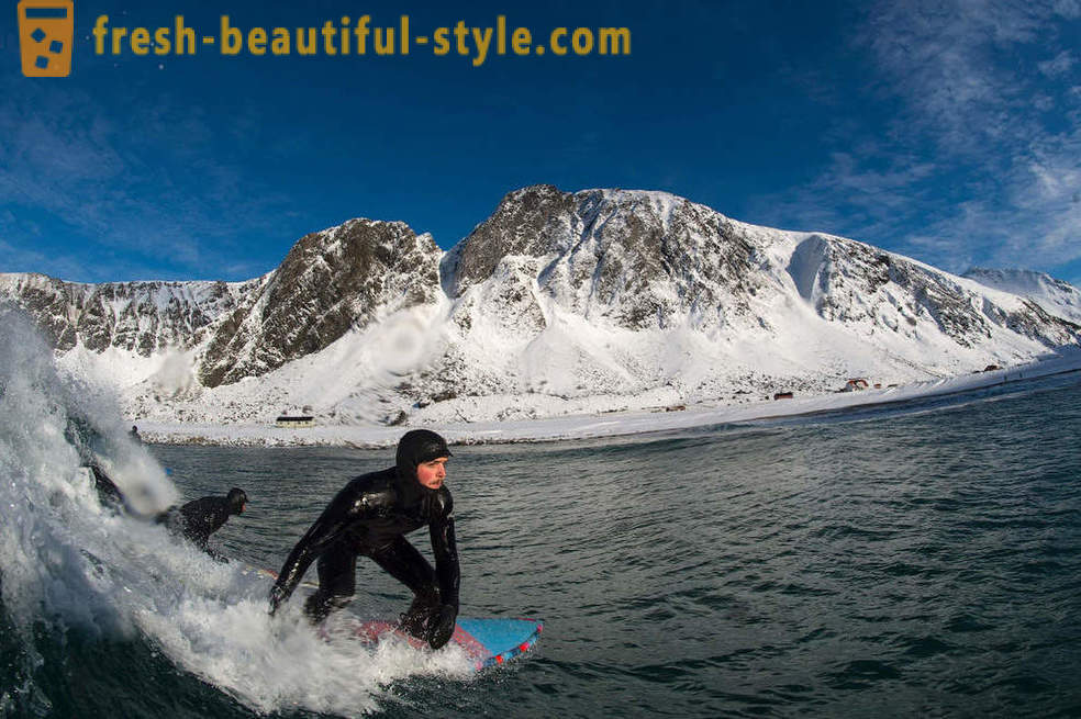 Surfer Extreme Arctic