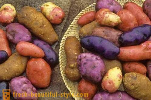 Ano ang kailangan mong malaman tungkol sa bawat patatas