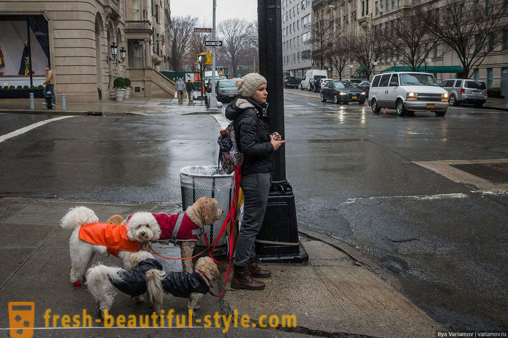 New York: Ang kakaibang fashion, masamang mga kalsada at ang hotel ng hinaharap