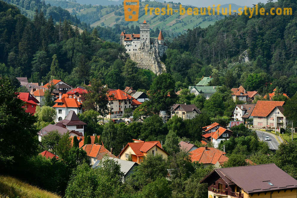 Castle Dracula: Transylvania business card