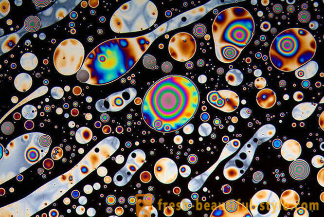 Mikroskopyo sa mga kamay ng mga photographer