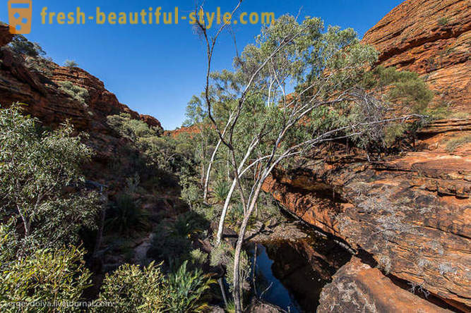 Pasadahan ang Kings Canyon sa Australya
