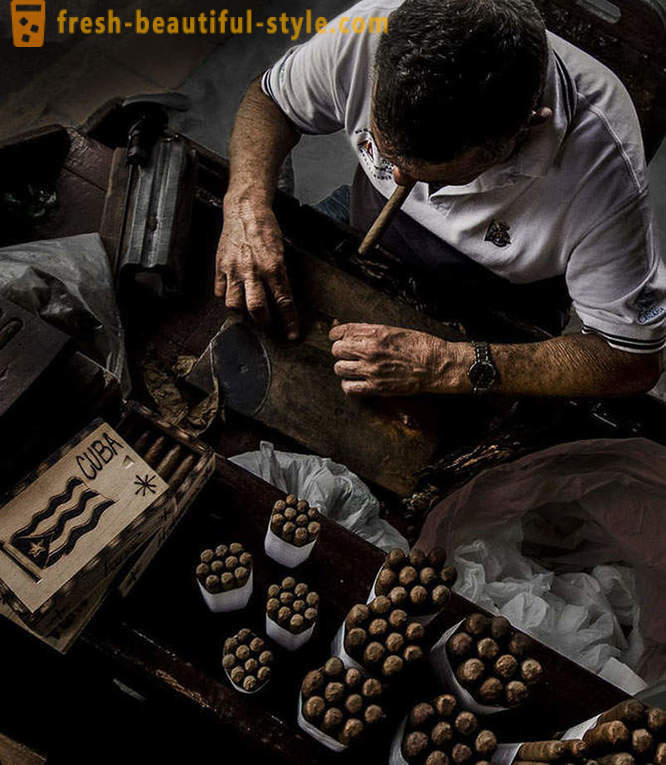 Ang proseso ng paglikha ng pinakamahusay na ng Cuban cigar