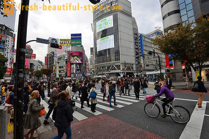 Isang kakaibang Tokyo Walk