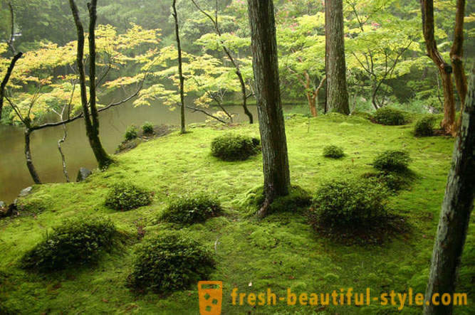 Moss hardin sa Japan