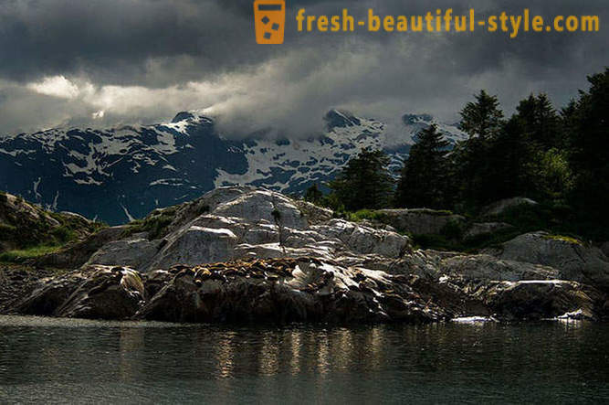 Glacier Bay National Park sa Alaska