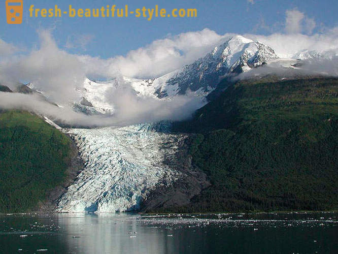 Glacier Bay National Park sa Alaska