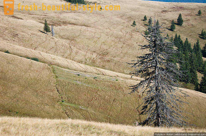 Sa paglipas ng malawak expanses ng kabundukan ng Karpathians
