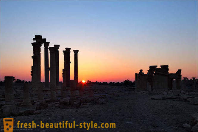 Palmyra - isang mahusay na lungsod sa disyerto