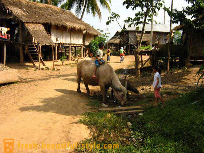GeoFresher - Paano nakatira sa Laos