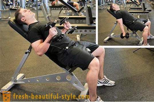 Workout biceps. Ang programa ng pagsasanay para sa mga biceps
