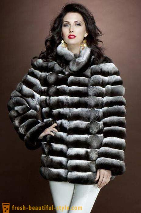 Chinchilla coats. Kuneho fur coat mula sa isang tsintsila