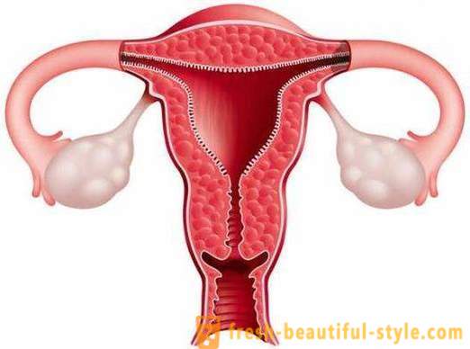 Paano upang madagdagan ang endometrium